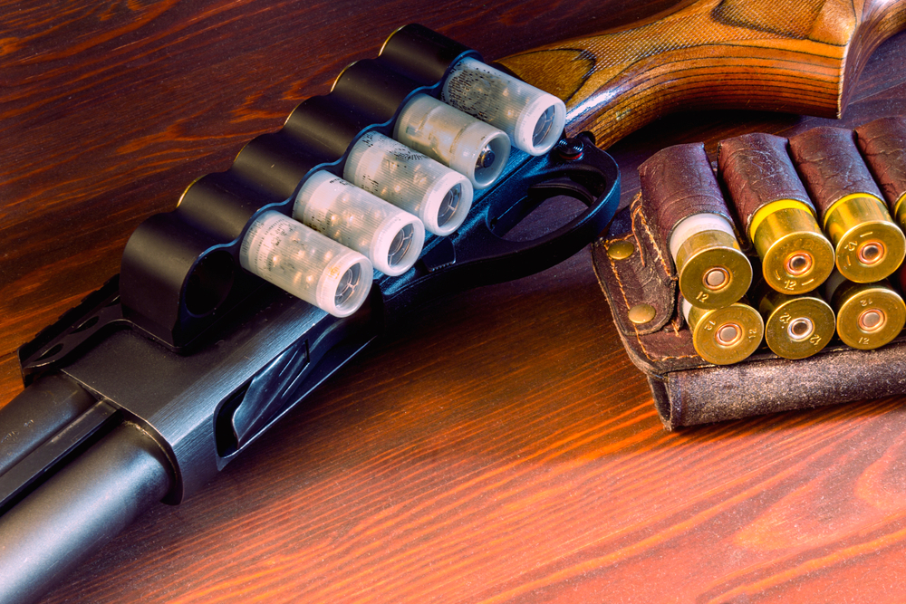 12 ga with different types of ammo