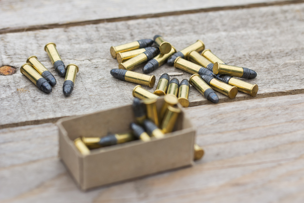 22 ammo