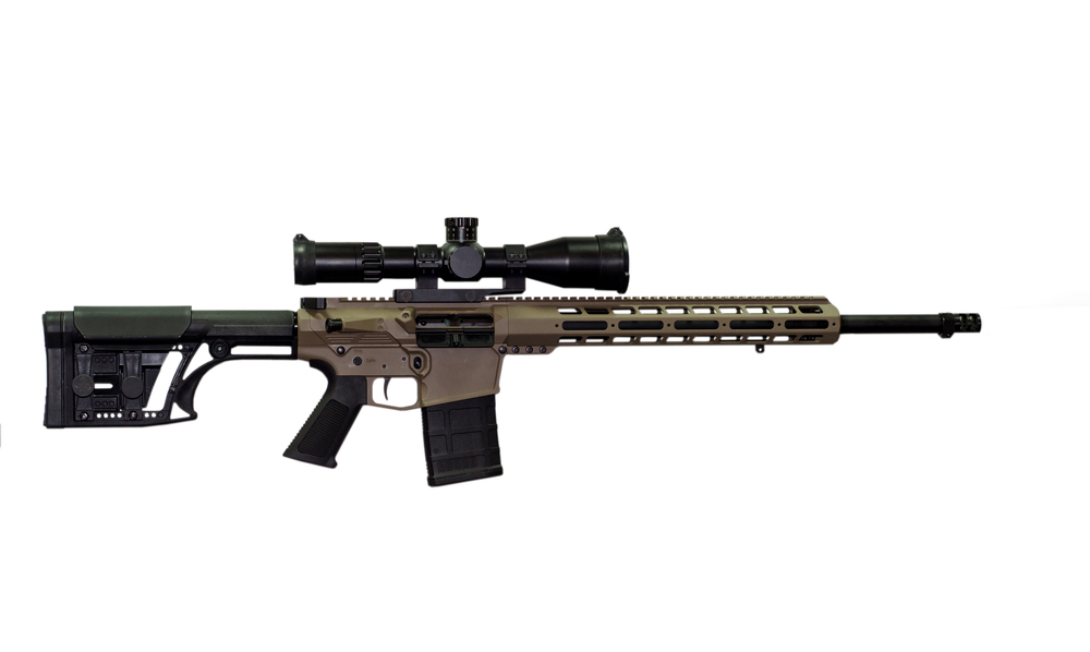 AR 10 Rifle
