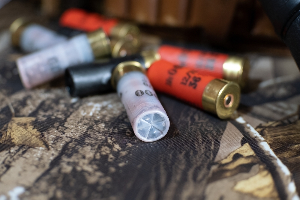 12 ga ammo 1