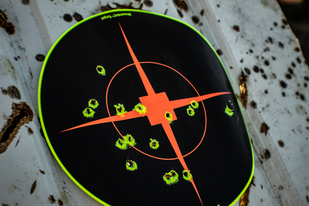 Buckshot Patterns on target