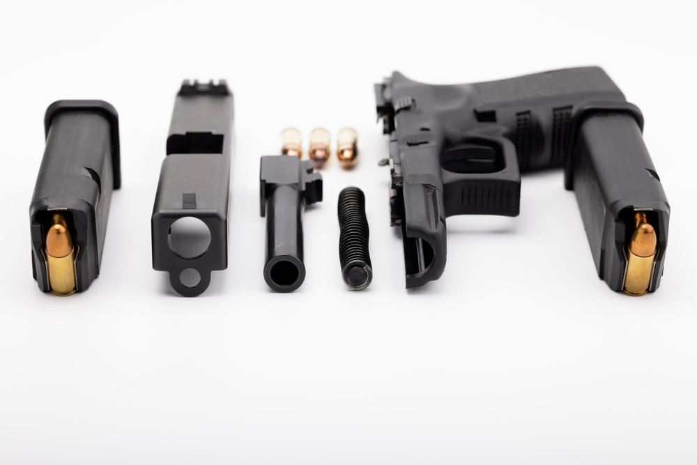 Example of Fieldstripped Pistol