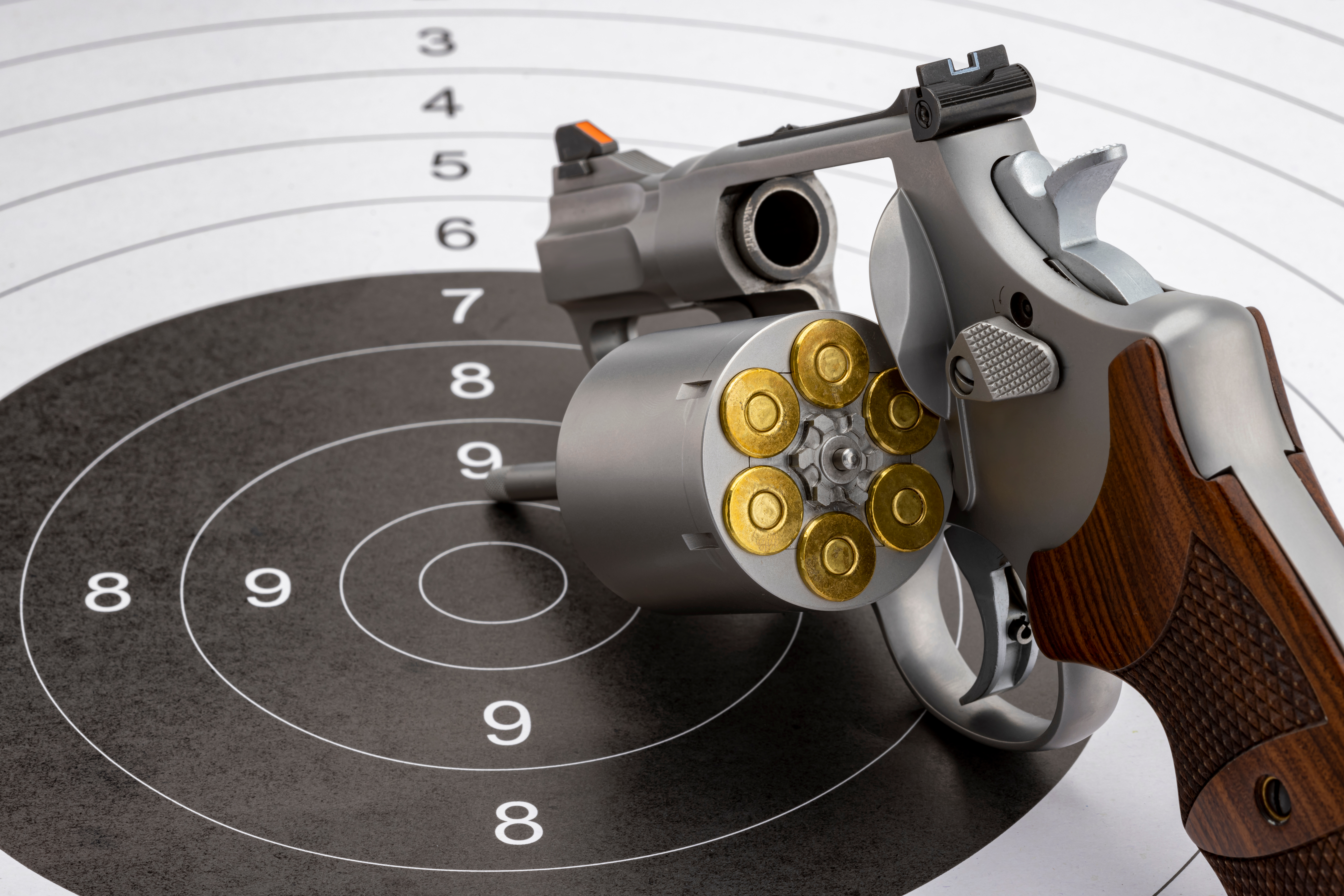 Stainless Revolver on Target with Cylinder Open