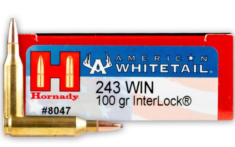 Hornady 243 Winchester