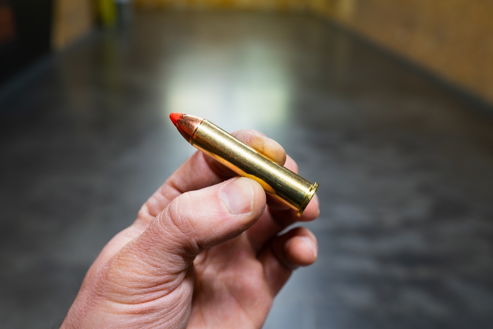 45-70 Government Cartridge
