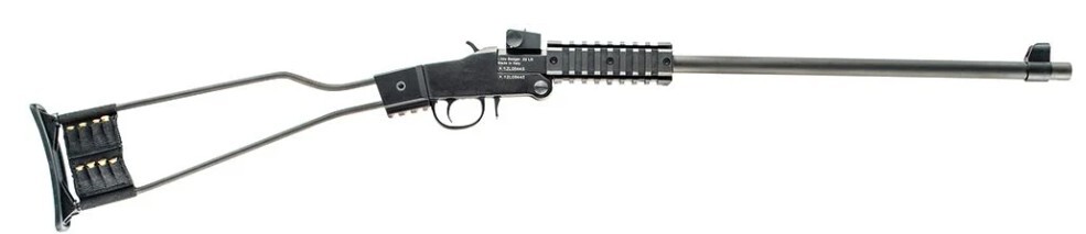 Chiappa Little Badger 22WMR